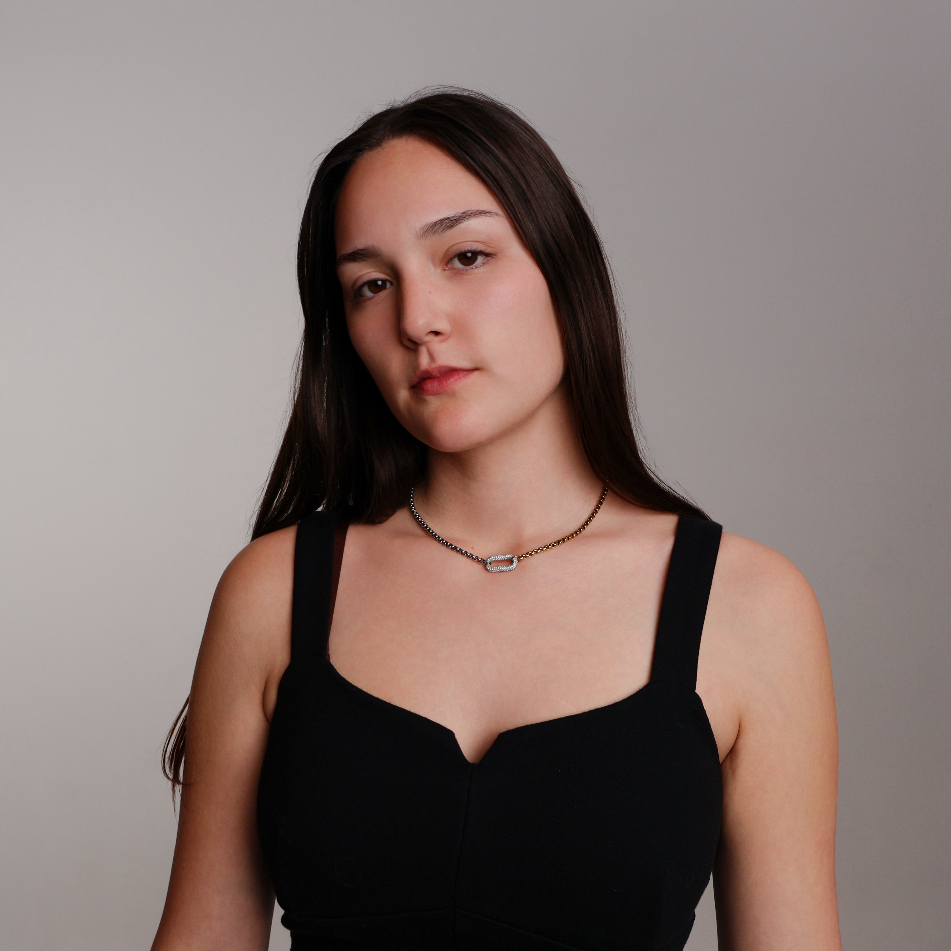 Unity Link Choker Necklace (Gold & Silver)